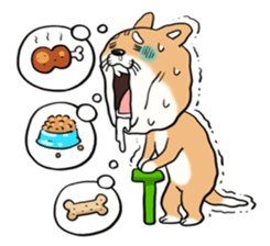SHIBA!! sticker #473633