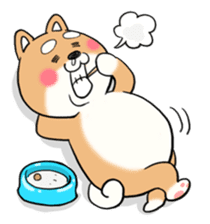 SHIBA!! sticker #473634