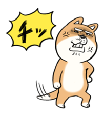 SHIBA!! sticker #473638