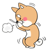 SHIBA!! sticker #473640