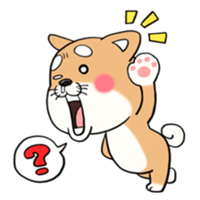 SHIBA!! sticker #473641