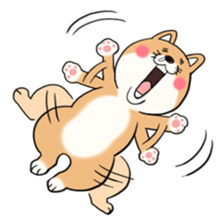 SHIBA!! sticker #473642