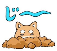 SHIBA!! sticker #473645