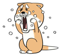 SHIBA!! sticker #473646
