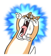 SHIBA!! sticker #473647