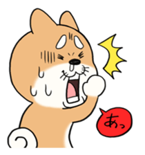 SHIBA!! sticker #473649