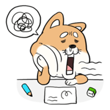 SHIBA!! sticker #473650