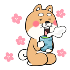 SHIBA!! sticker #473652