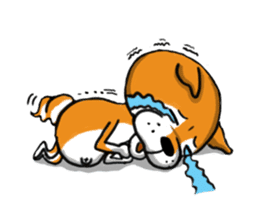 Shiba Dog PanPan's normal life sticker #474064