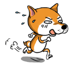Shiba Dog PanPan's normal life sticker #474081