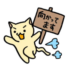 cat with signboard