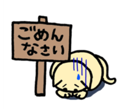 cat with signboard sticker #474977