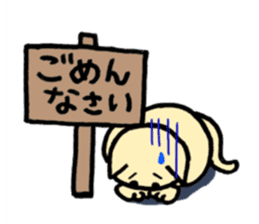 cat with signboard sticker #474977