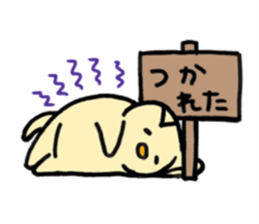 cat with signboard sticker #475008