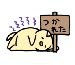 cat with signboard sticker #475008