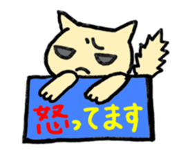cat with signboard sticker #475011