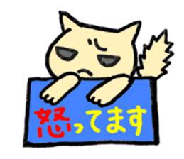 cat with signboard sticker #475011