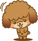 Kawaii Dog - Toy Poodle sticker #475296