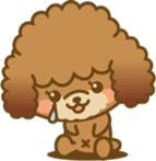 Kawaii Dog - Toy Poodle sticker #475307