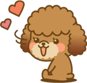 Kawaii Dog - Toy Poodle sticker #475317