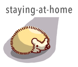 Cute animals (English) sticker #477483