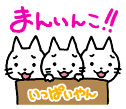 White Cat and the Nagoya dialect sticker #480004
