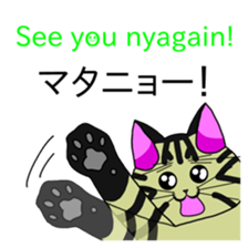 MICKtheCAT classic with hidden 40 cats sticker #480937