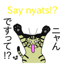 MICKtheCAT classic with hidden 40 cats sticker #480940