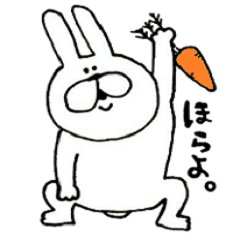 Rabbit sometimes chick
