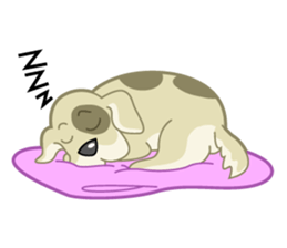 Funny Cat and Dog sticker #484558