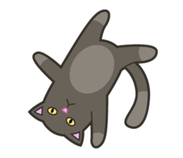 Funny Cat and Dog sticker #484571