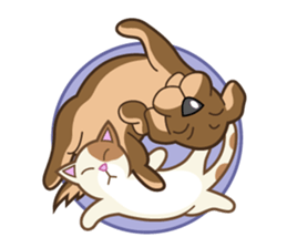 Funny Cat and Dog sticker #484589