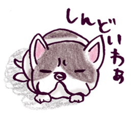 Chow Chow Pup sticker #485346