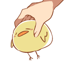 chicks sticker #488110