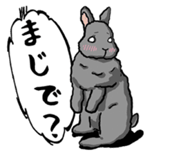 Assortment of rabbit speech bubble sticker #489997