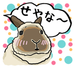 Assortment of rabbit speech bubble sticker #490000