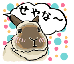 Assortment of rabbit speech bubble sticker #490000