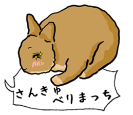 Assortment of rabbit speech bubble sticker #490013