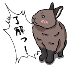 Assortment of rabbit speech bubble sticker #490014