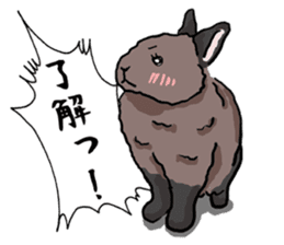 Assortment of rabbit speech bubble sticker #490014