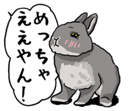 Assortment of rabbit speech bubble sticker #490017