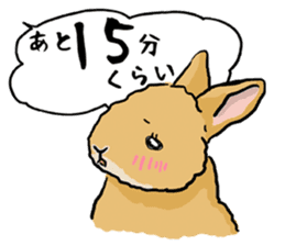 Assortment of rabbit speech bubble sticker #490018