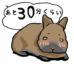 Assortment of rabbit speech bubble sticker #490019