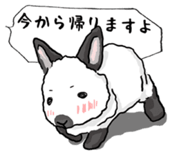Assortment of rabbit speech bubble sticker #490020