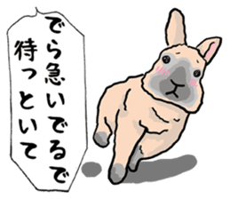 Assortment of rabbit speech bubble sticker #490021