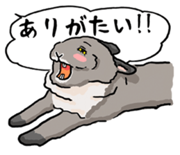 Assortment of rabbit speech bubble sticker #490029