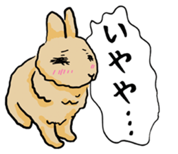 Assortment of rabbit speech bubble sticker #490032