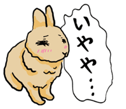 Assortment of rabbit speech bubble sticker #490032