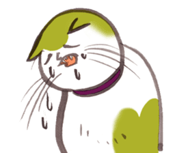 Full activity Cats sticker #490041