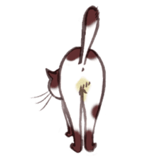 Full activity Cats sticker #490043